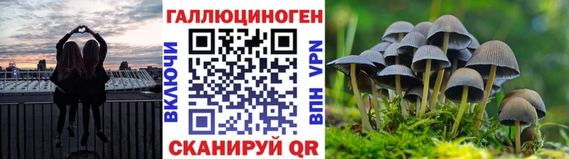 omg как войти Ишим Псилоцибиновые грибы Psilocybine cubensis продажа наркотиков