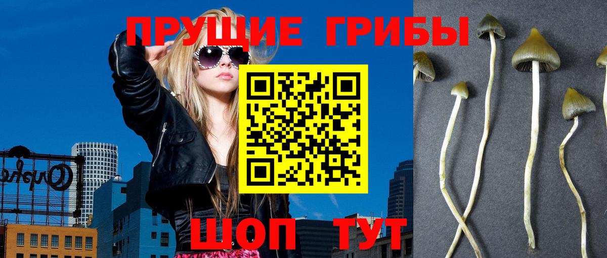 Ишим  Псилоцибиновые грибы мицелий  Вход с VPN 